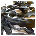 kombu
