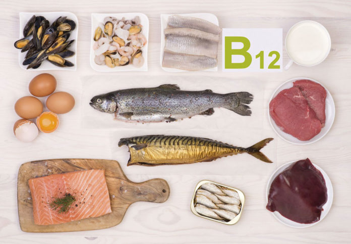Zdroje vitamínu B12