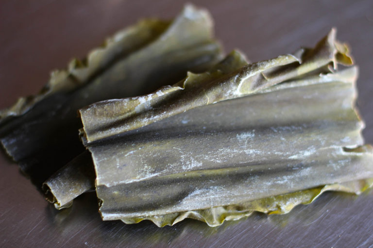 Kombu – tradiční japonská mořská řasa